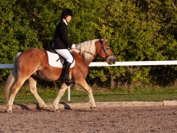 IMG_7610_web